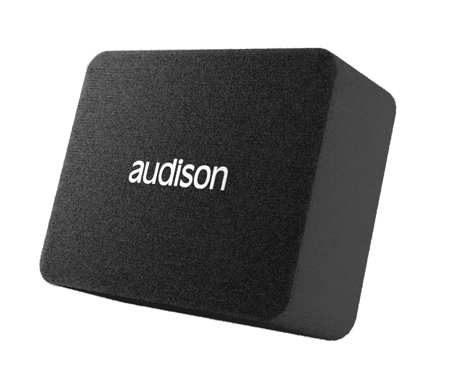 Audison 200 mm Subwoofer