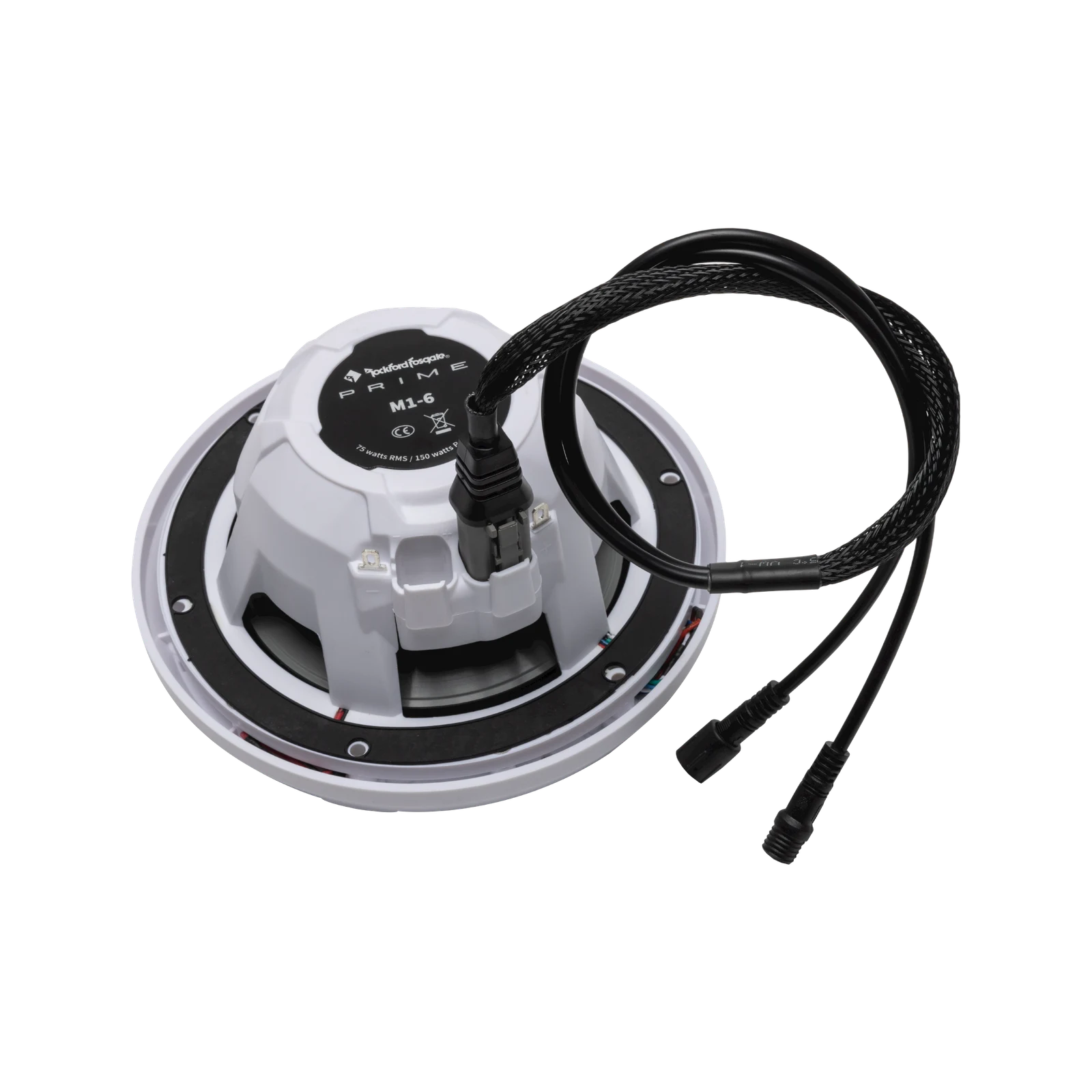 Rockford Fosgate 4-Pin Color Optix™ Y-Adaptor for PMX-RGB (Gen-2) 3