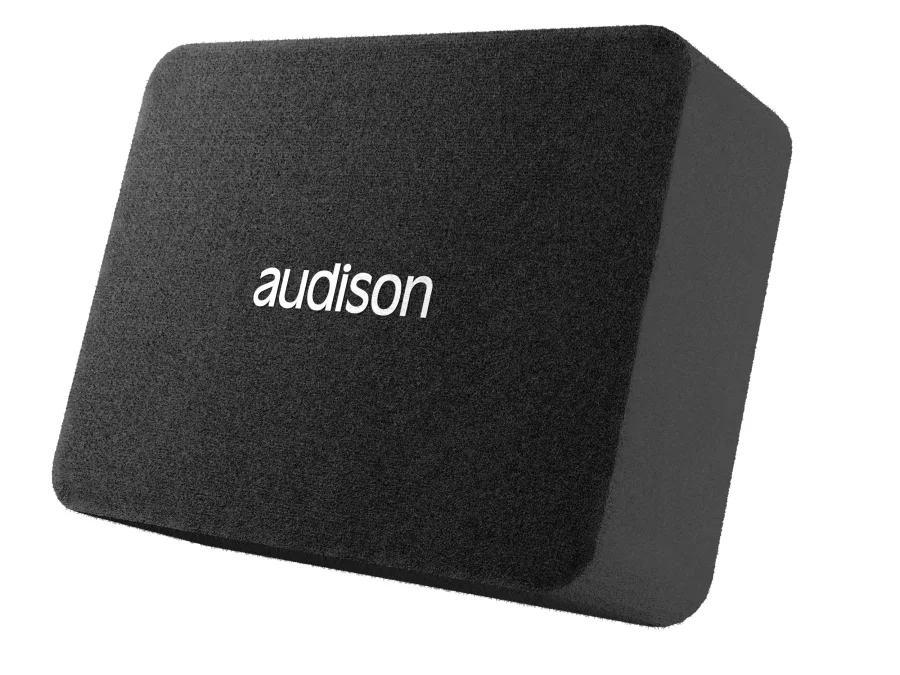 Audison 250 mm Subwoofer